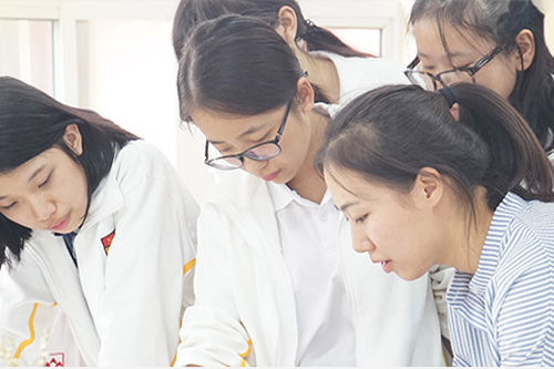 愛迪國際學校高中