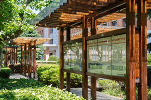 國際學校小、初、高不同階段入學，都有怎樣的影響？