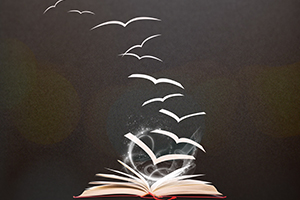 非京籍孩子就讀國際學校常見問題匯總