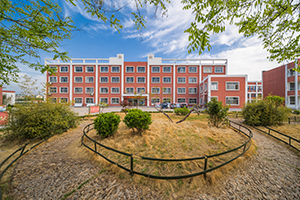 國際學校高中四年如何規劃，才能敲開藤校的大門？