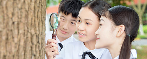 2023年上海國際學(xué)校排名全覽（民辦國際學(xué)校）上篇
